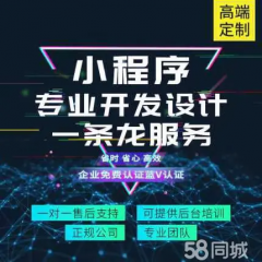 特惠网站建设，网站开发，微信小程序开发