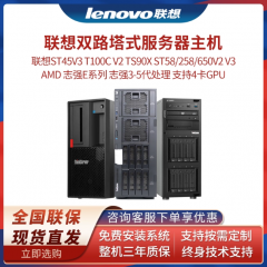 联想ST45V3/T100CV2/TS90X/ST58/258/650V2/V3 塔式服务器